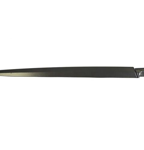 Ayak